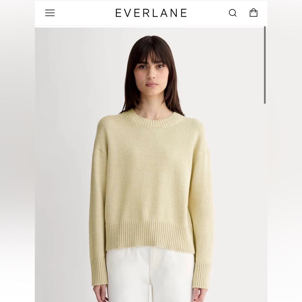 Everlane the boxy sweater in everyday cotton